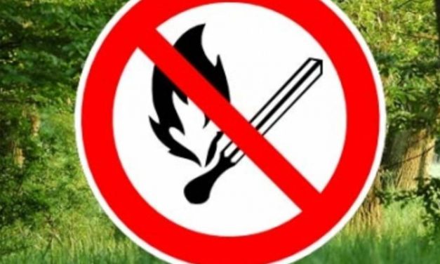 Már Pest és Veszprém megyében is tilos a tűzgyújtás