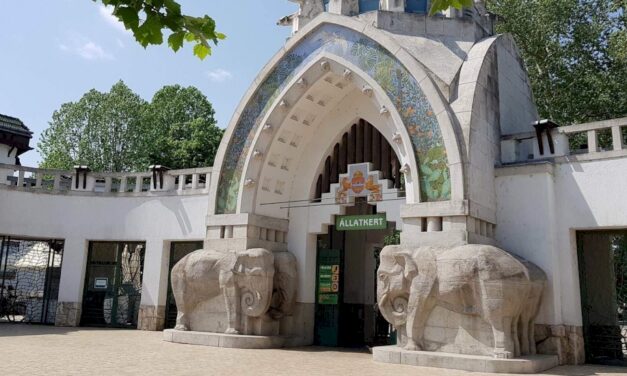 Látványetetéssel és egyéb farsangi programokkal vár a fővárosi állatkert