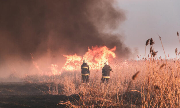 Tűz pusztít Simontornyánál: nagy erőkkel vonultak a tűzoltók a helyszínre