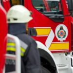 Egy vödörnyi nyulat mentettek a tűzoltók Pomázon
