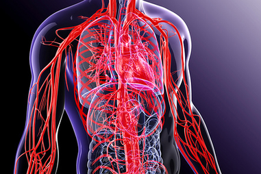 Magas vérnyomás: ezt tanácsolja a kardiológus, ha a családban halmozottan jelen van