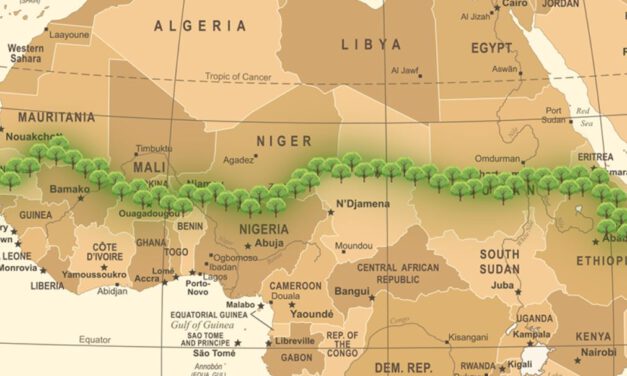 Azonnal el kell hagynia Nigert az EU rendőrségi missziójának