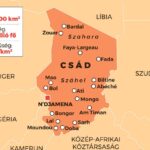 Tűzharcban megölték a csádi ellenzék vezetőjét, két hónappal az elnökválasztás előtt