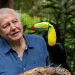 Miért olyan népszerű ma is a 98 éves David Attenborough?