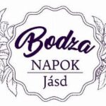 Így sütik a bodzát a Bakonyban, a nagymamáiktól tanulták (képgaléria, videó, recept)