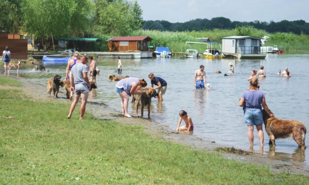 Filléres áraival arat a kis hevesi falu, akár ennyiért is nyaralhatsz a Tisza-tónál