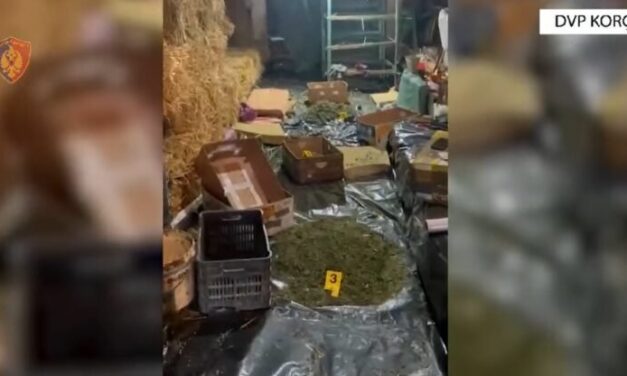 Éveken keresztül dolgozott védőfelszerelés nélkül a rendőrség drograktárában egy nő, most perel