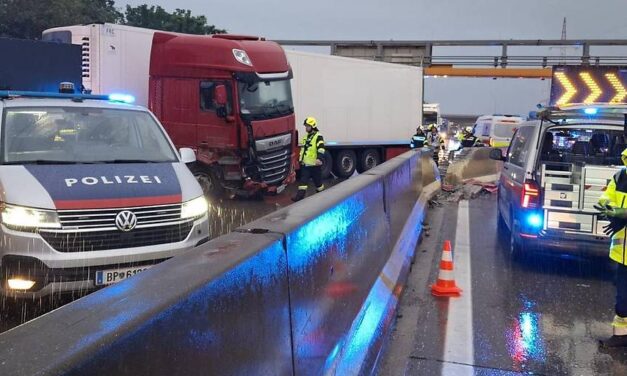 Elsősegélyt nyújtott az autópályán, szörnyethalt