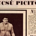 Profi sportolók, akik autóbalesetben vesztették életüket