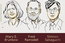 Ők kapják idén az orvosi-élettani Nobel-díjat