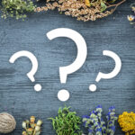 Gyógyító növények nyomában – csak a legjobbak tudják hibátlanul kitölteni ezt a kvízt!