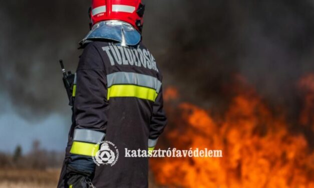 Tíz tonna termény kapott lángra – A pápai tűzoltók nagy erőkkel vonultak a helyszínre