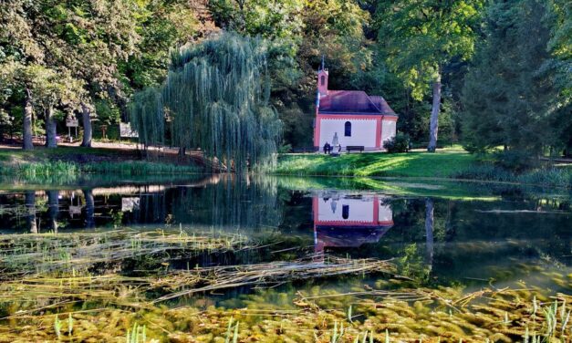 Ezer éve tartó varázslat vonz mindenkit a Bakony közepére – Ezt a történetet látni, hallani kell (videó, podcast)