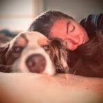 Szívszorító igazság: a kutyák és macskák utolsó kívánsága sokkal egyszerűbb, mint hinnéd