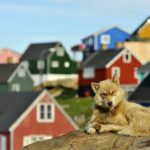 Robert C. Castel: Se szabály, se világ, se rend