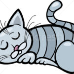 A „macskamágnes” jelenség: Miért pont azokhoz vonzódnak a cicák, akik nem szeretik őket?