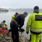 Négy fokos vízben dolgoztak a búvárok a Dunában – így hozták fel a roncsot