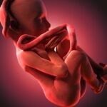 Hajnali dráma Győr-Moson-Sopronban – köldökzsinór tekeredett egy újszülött nyakára