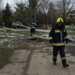 Fákat csavart ki a viharos szél, egy ember életét veszítette – helyszíni fotók
