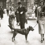 Archív fotográfiákon elevenednek meg a 20. századi magyar arisztokrácia mindennapjai – Interjú a szerzőkkel