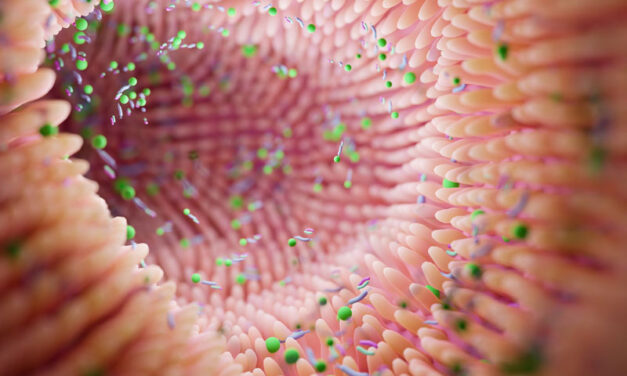 Figyelem, Normaflore-felhasználók – 105 milliós bírság a gyártónak