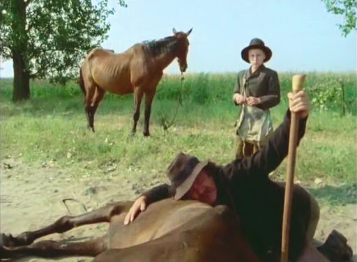 Bendegúz visszatér! Csak az igazi rajongók hibátlanok az Indul a bakterház kvízben