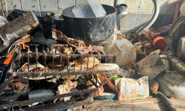 Ötven állatot tartott egy volt tanárnő egy sukorói házban, az állatvédőket is sokkolta a látvány