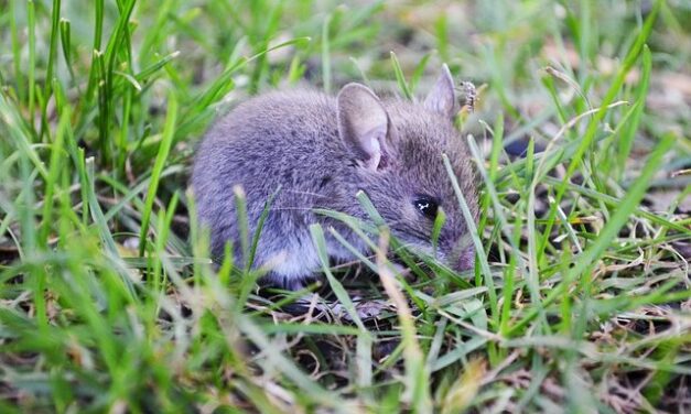 Saját apja etette meg a halálos kapszulát a kisgyerekkel: Megdöbbentő ítélet született