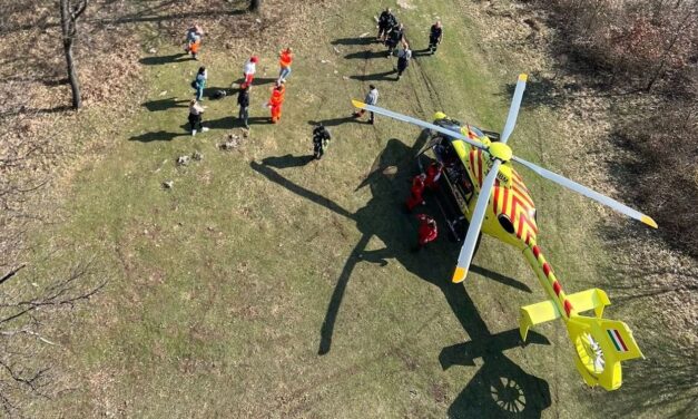 Mentőhelikopter szállt le a Bakonyban: életet kellett menteni a nehéz terepen (helyszíni fotók)