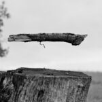 Öt érv amellett, hogy a valóság puszta illúzió