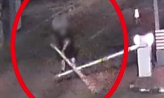 „Fénykardozott” a sorompóval: elképesztő ámokfutás a balatoni révnél (+videó)