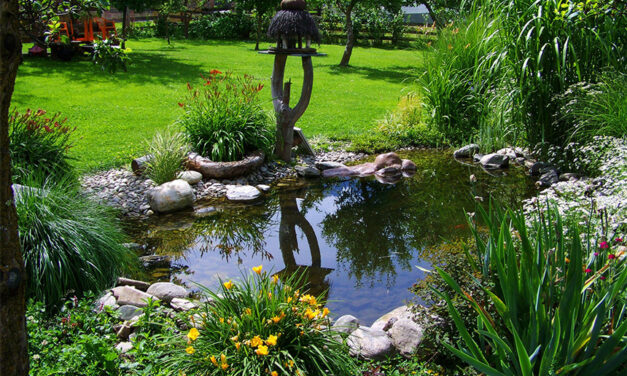 Rettenetes tragédia történt a kertben, egyéves gyermek a halálos áldozat