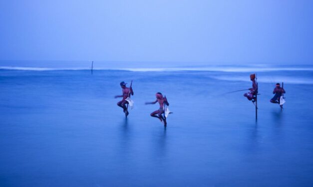 Haknizó magyar exminiszter és jógázó félceleb látványa vág gyomorszájon