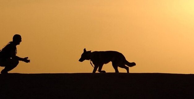 DNS-elemzésekből állapították meg, hogy az emberek már tizenöt ezer évvel ezelőtt is etettek kutyákat