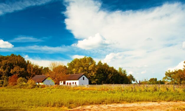 100 millió forintért keres tanyát a vietnámi szakács a budai agglomerációban