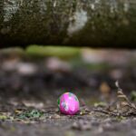 Húsvéti tojásokat kereső csoportra dőlt egy fa, hárman meghaltak, köztük egy 10 hónapos csecsemő