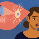 Megvan, mely sejtek felelősek a depresszióért az agyban