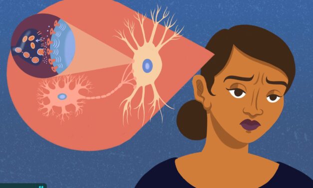 Megvan, mely sejtek felelősek a depresszióért az agyban