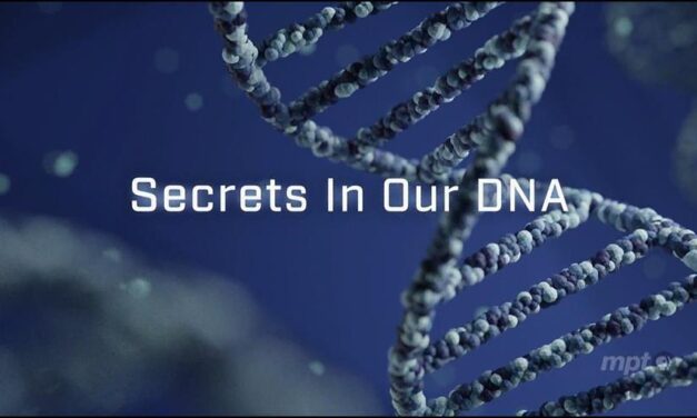 A DNS titkai – kvíz a genetika világából