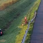 Senkit nem érdekelt, hogy árokba hajtott egy autó az M1-esen