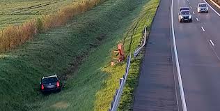 Senkit nem érdekelt, hogy árokba hajtott egy autó az M1-esen