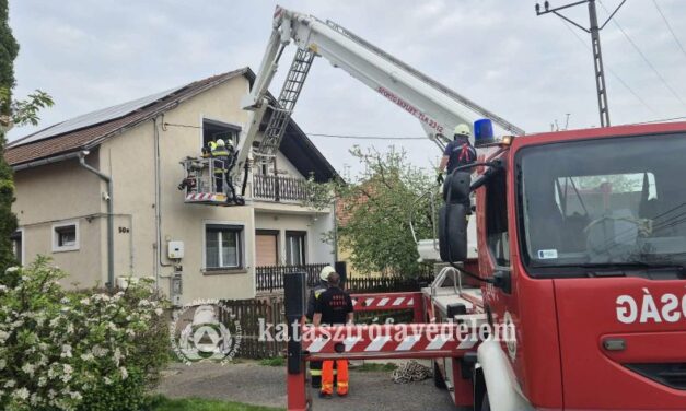 Ahol a hordágy nem fért el, ott a zalai tűzoltók segítettek: rendkívüli mentések a vármegyében