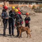 A romok között sem mondott csődöt Sueno orra – Csak három kutyának sikerült a katasztrófavizsga: továbbra is világhírűek a magyar mentőebek