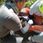 Összehangolt mentőakció a Börzsönyben, hegyimentők és tűzoltók mentettek ki egy túrázót