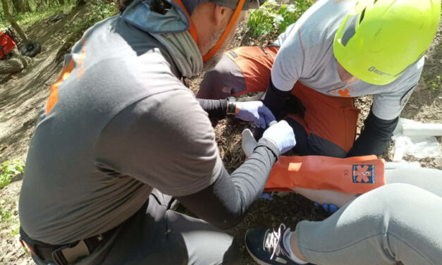 Összehangolt mentőakció a Börzsönyben, hegyimentők és tűzoltók mentettek ki egy túrázót