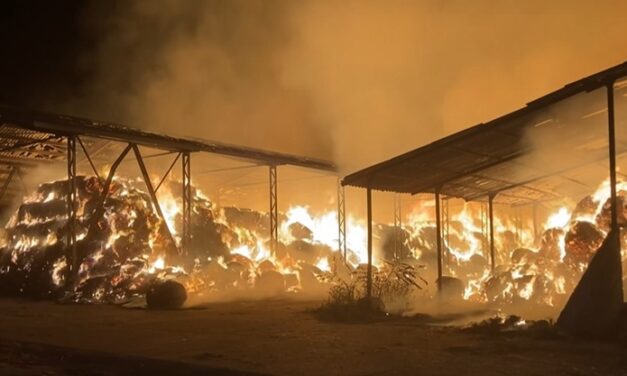 Lángokban a határ: futnak a gazdák a pénzük után