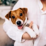 Kimutatták: sok nő a gyereknevelés előszobájaként tekint a kutyatartásra