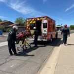 Az életéért küzd a túrázó, miután több százszor csípték meg a méhek a hegyen