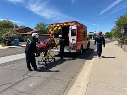 Az életéért küzd a túrázó, miután több százszor csípték meg a méhek a hegyen