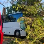 Munkahelyének elvesztésétől rettegett a halálos balesetet okozó buszsofőr